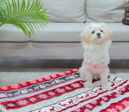 Christmas Double Sided Thick Warm Pet Blanket