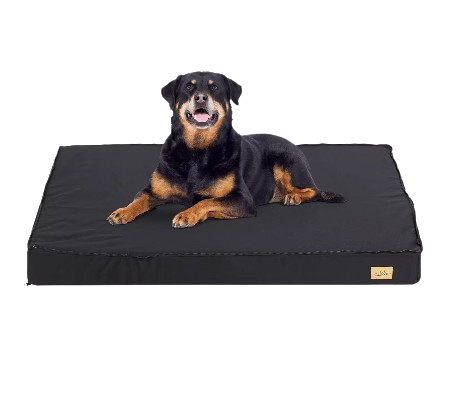 Non-Slip Orthopedic Dog Bed with Waterproof Lining  (Suitable for Medium/Large Dogs)