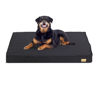 Non-Slip Orthopedic Dog Bed with Waterproof Lining  (Suitable for Medium/Large Dogs)